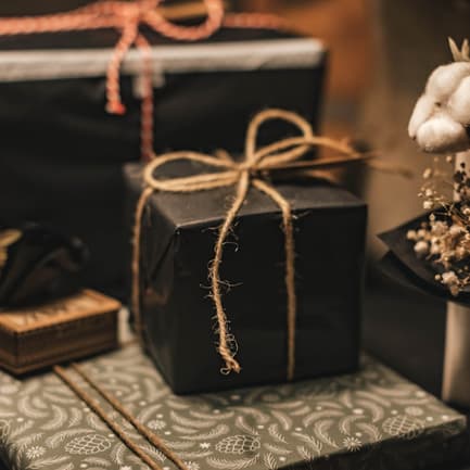 Show Biz Gift Guide cover