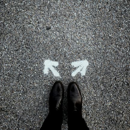 THE BIG UNION QUESTION cover